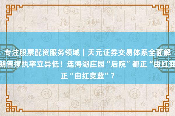 专注股票配资服务领域｜天元证券交易体系全面解析 特朗普撑执率立异低！连海湖庄园“后院”都正“由红变蓝”？