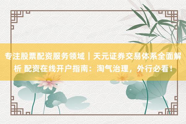 专注股票配资服务领域｜天元证券交易体系全面解析 配资在线开户指南：淘气治理，外行必看！