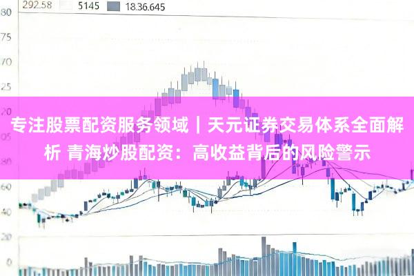 专注股票配资服务领域｜天元证券交易体系全面解析 青海炒股配资：高收益背后的风险警示