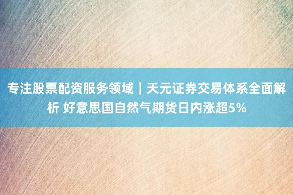 专注股票配资服务领域｜天元证券交易体系全面解析 好意思国自然气期货日内涨超5%