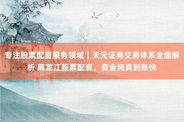 专注股票配资服务领域｜天元证券交易体系全面解析 黑龙江股票配资，资金纯真到账快